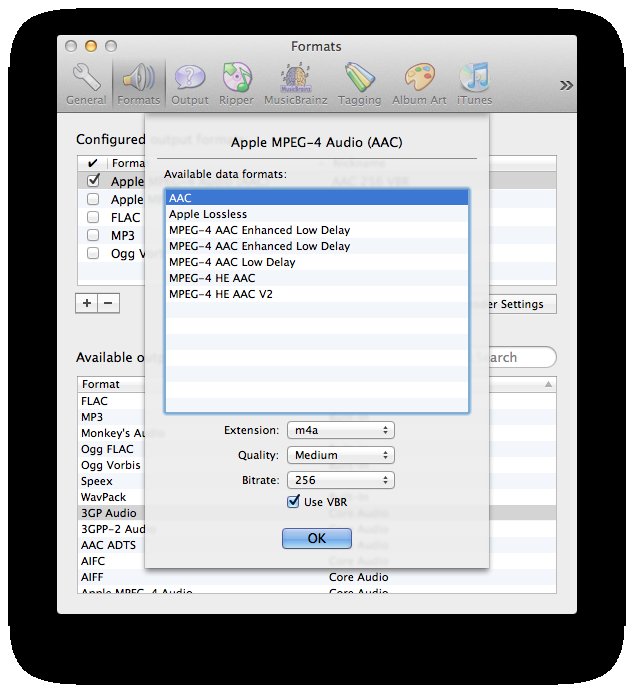 Max format settings window